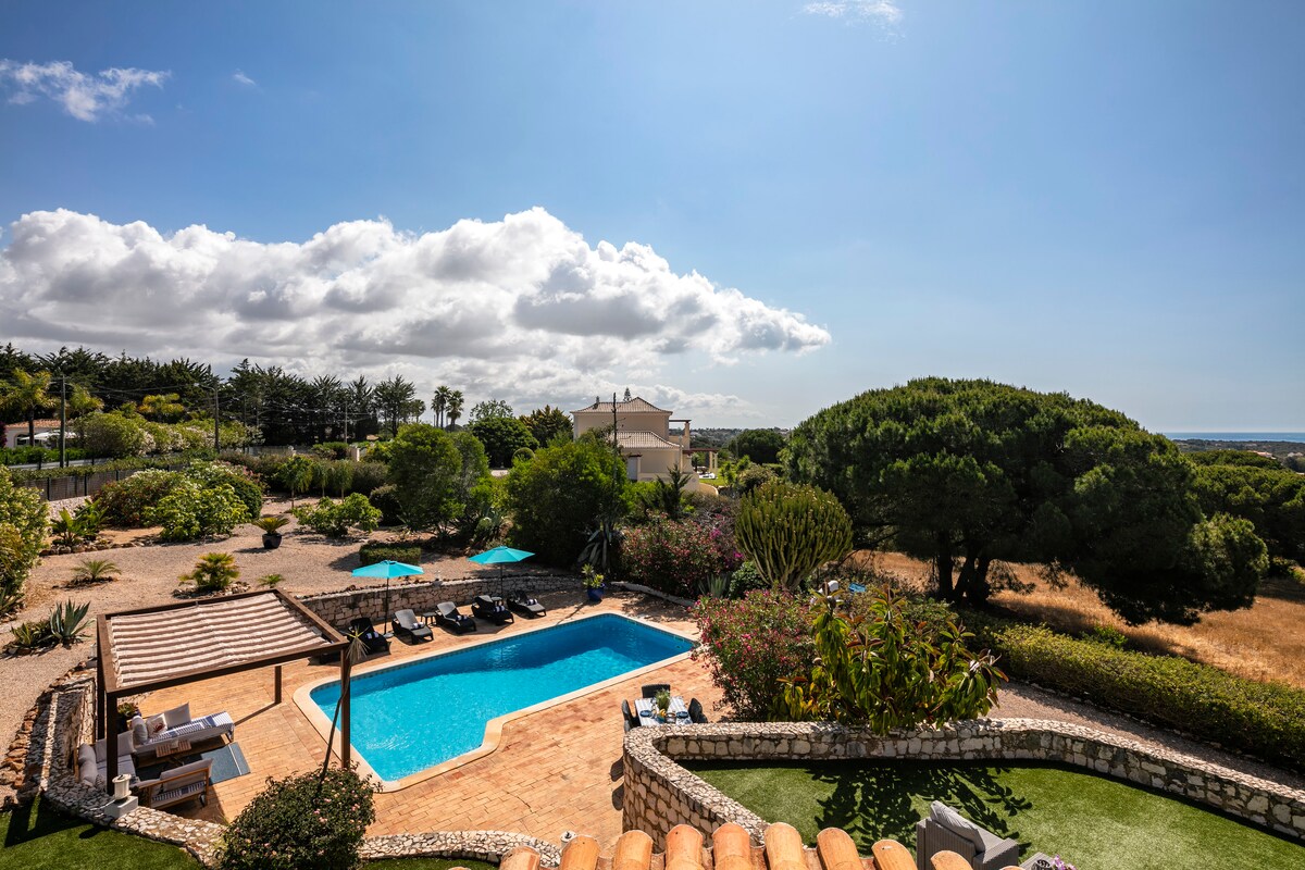 An outdoor view showcases a large swimming pool surrounded by sun loungers, meticulously arranged. Lush gardens with various plants and trees provide a vibrant backdrop. The horizon reveals the sparkling sea, and the sky is bright with scattered clouds, enhancing the serene atmosphere.