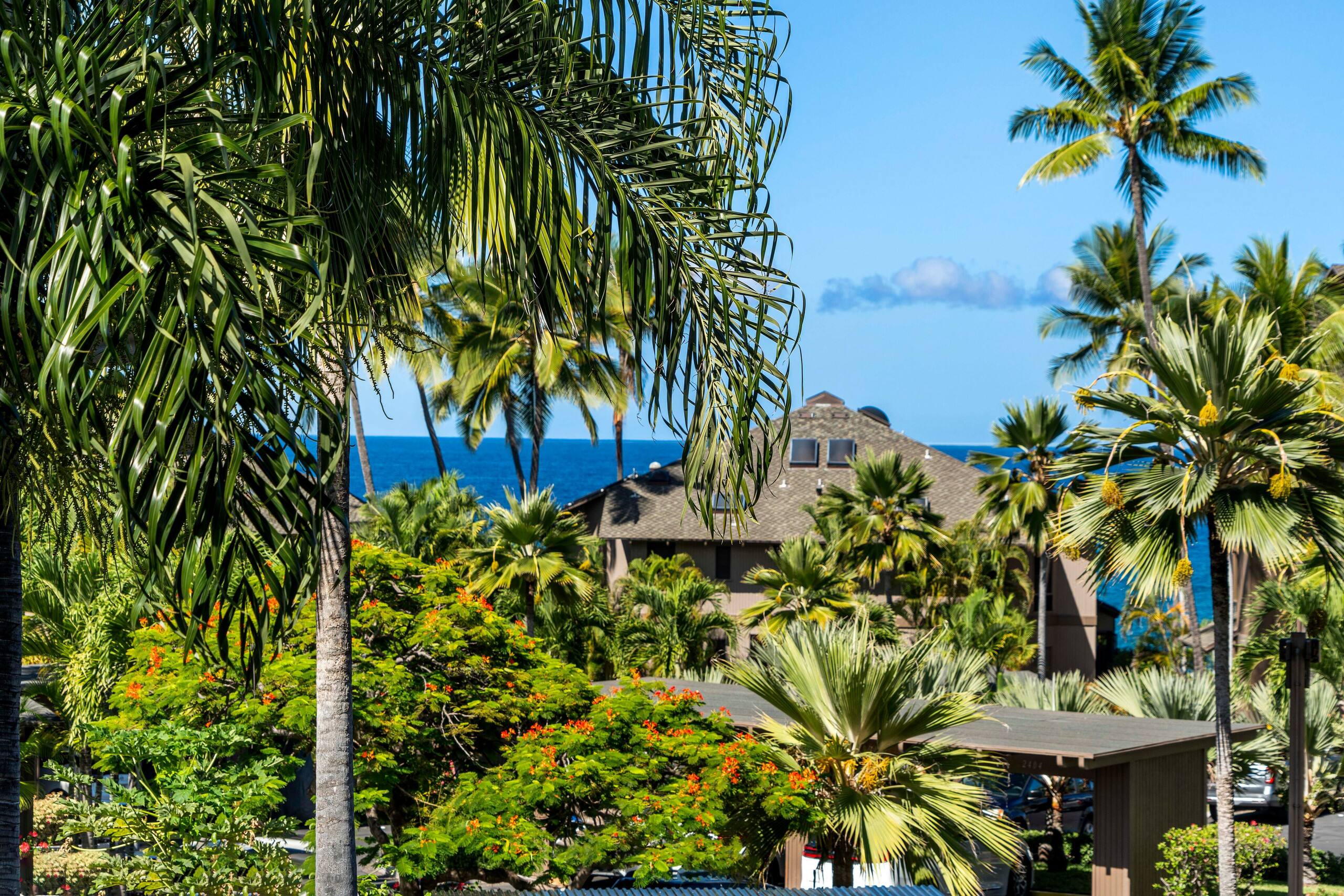 Condo in Kailua-Kona · ★5.0 · 1 bedroom · 2 beds · 1 bath - Image 12