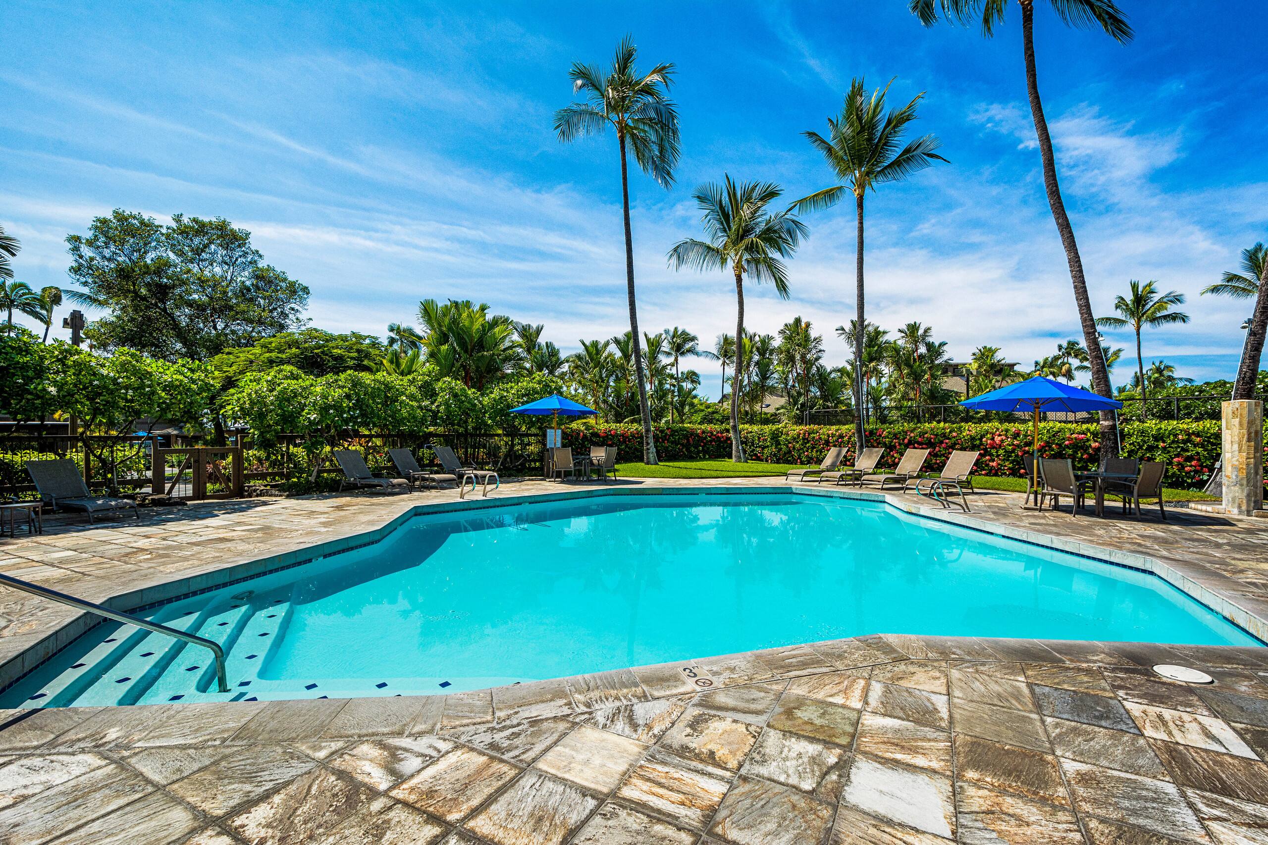 Condo in Kailua-Kona · ★5.0 · 1 bedroom · 2 beds · 1 bath - Image 60
