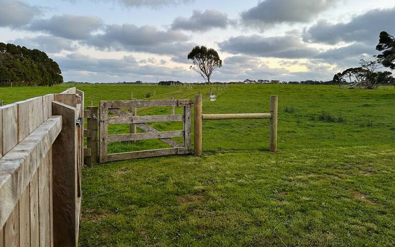 PepperTree Farm Stay gallery image 2