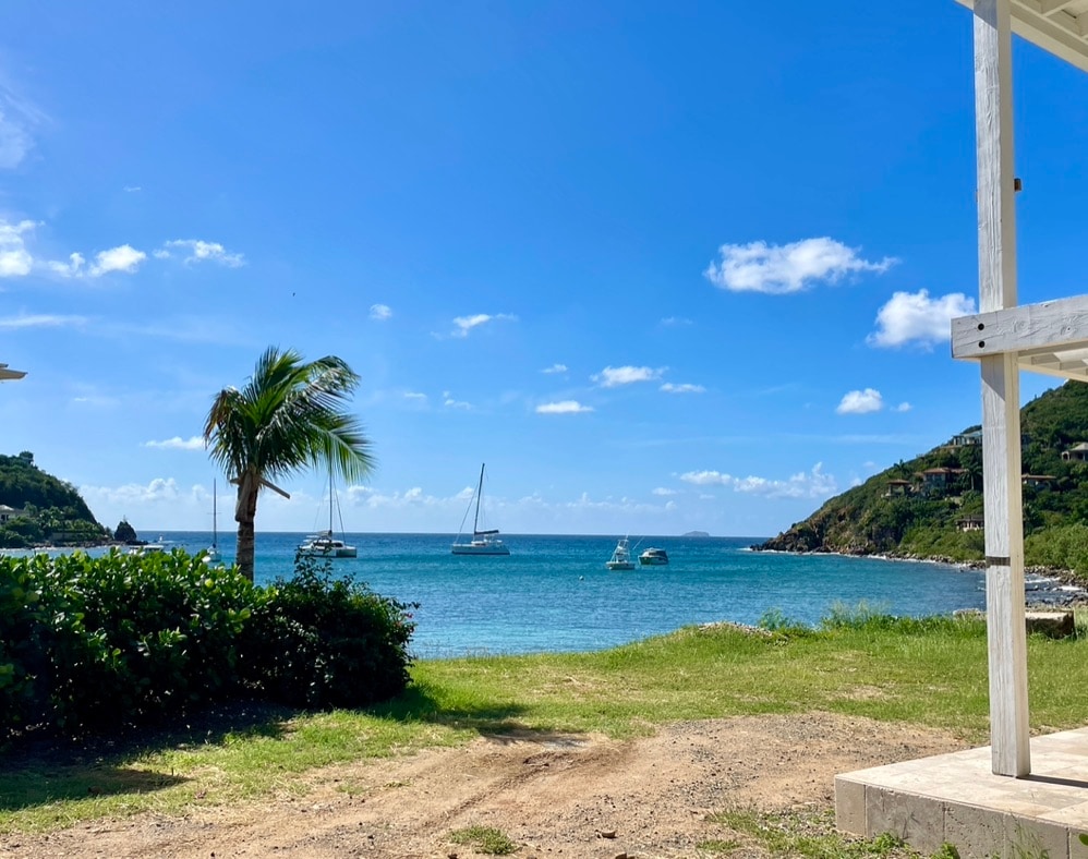 An expansive view of the ocean is framed by green grass and foliage. A slender palm tree stands to the left. Various boats are anchored in the calm blue water, with a distant hillside visible in the background beneath a clear blue sky.
