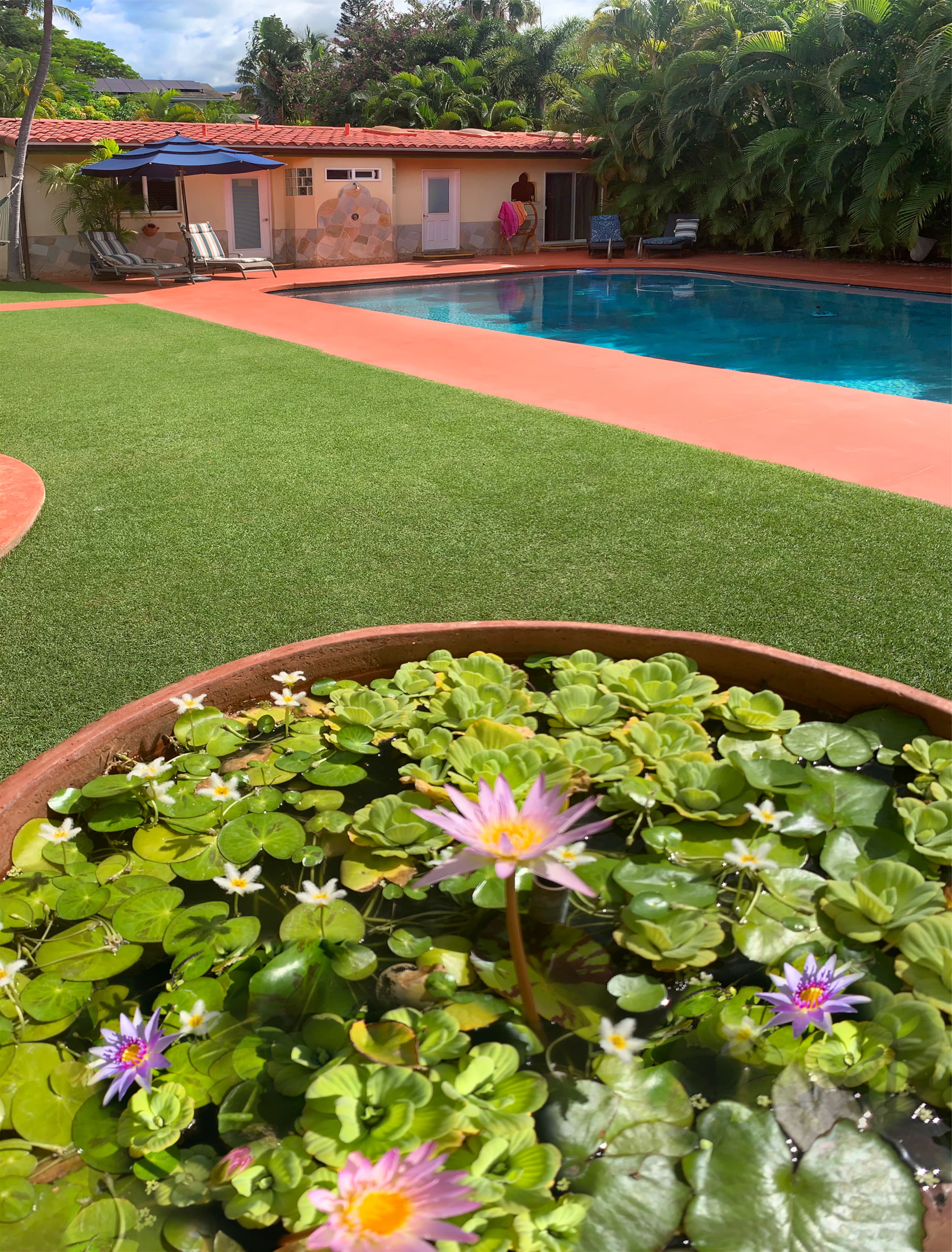 Guesthouse in Kihei · ★5.0 · 1 bedroom · 1 bath - Image 24