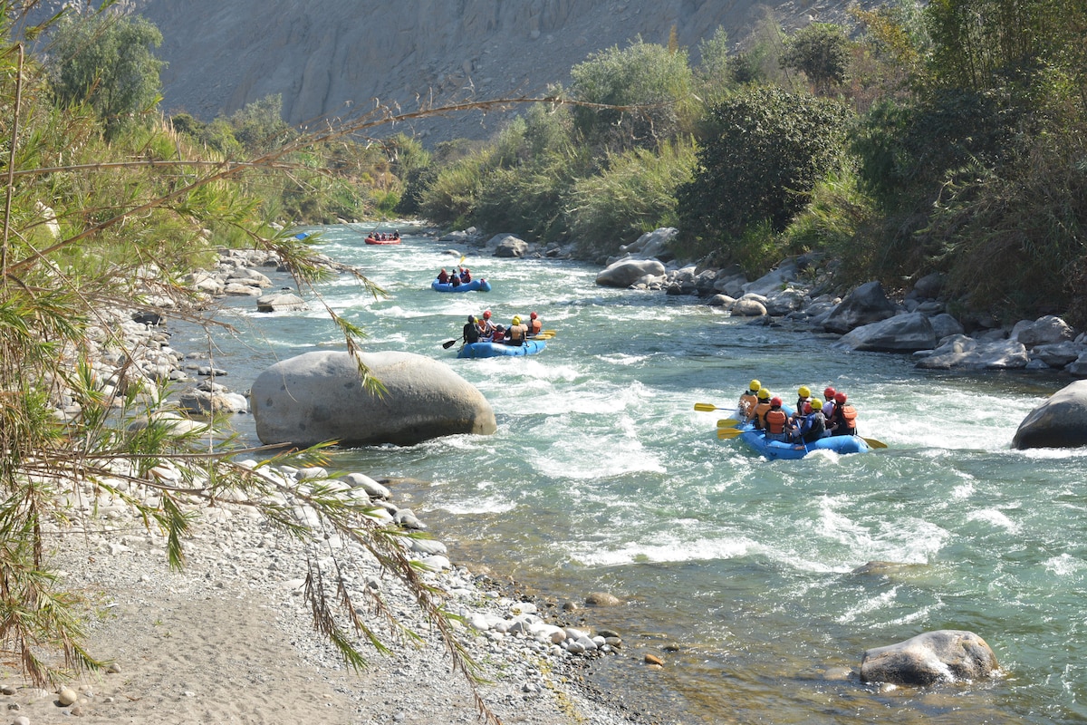 A scenic river scene features several groups of people engaged in rafting. Colorful rafts navigate through the flowing water, surrounded by natural greenery and rocky banks. Large stones are partially submerged, contributing to the vibrant landscape.