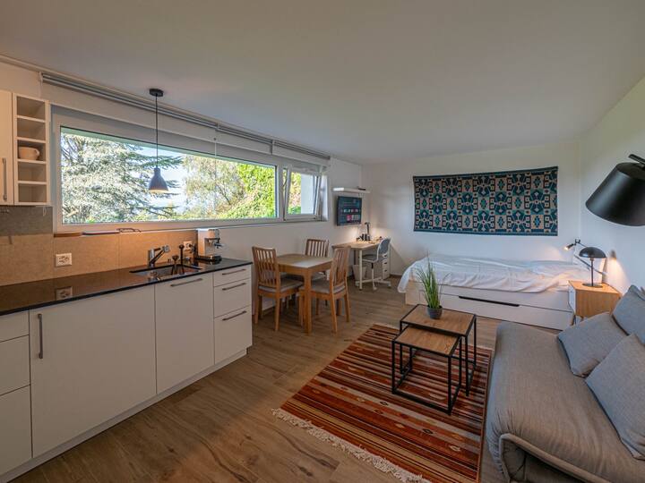 New studio on Languedoc hill Apartments for Rent in Lausanne, Vaud