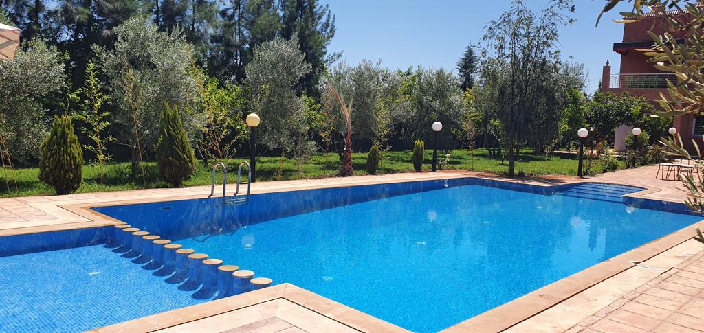 A large swimming pool with clear blue water is surrounded by lush greenery. Neatly arranged trees and plants provide shade along the perimeter, while elegant lighting fixtures stand on either side of the pool. Sun loungers are positioned nearby for relaxation.