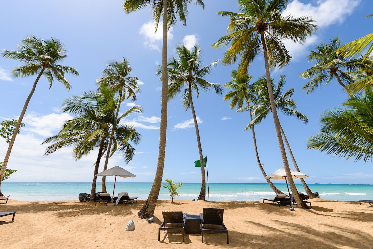 A sandy beach scene features several tall palm trees swaying gently in the breeze. Lounge chairs are positioned on the sand, providing a shaded area under large umbrellas. The calm sea and clear blue sky create a serene coastal backdrop.