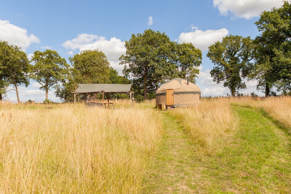 A luxury yurt is positioned in a grassy field, surrounded by tall golden grasses and a few trees. A pathway leads towards the yurt, indicating a tranquil and spacious outdoor setting that's perfect for relaxation.
