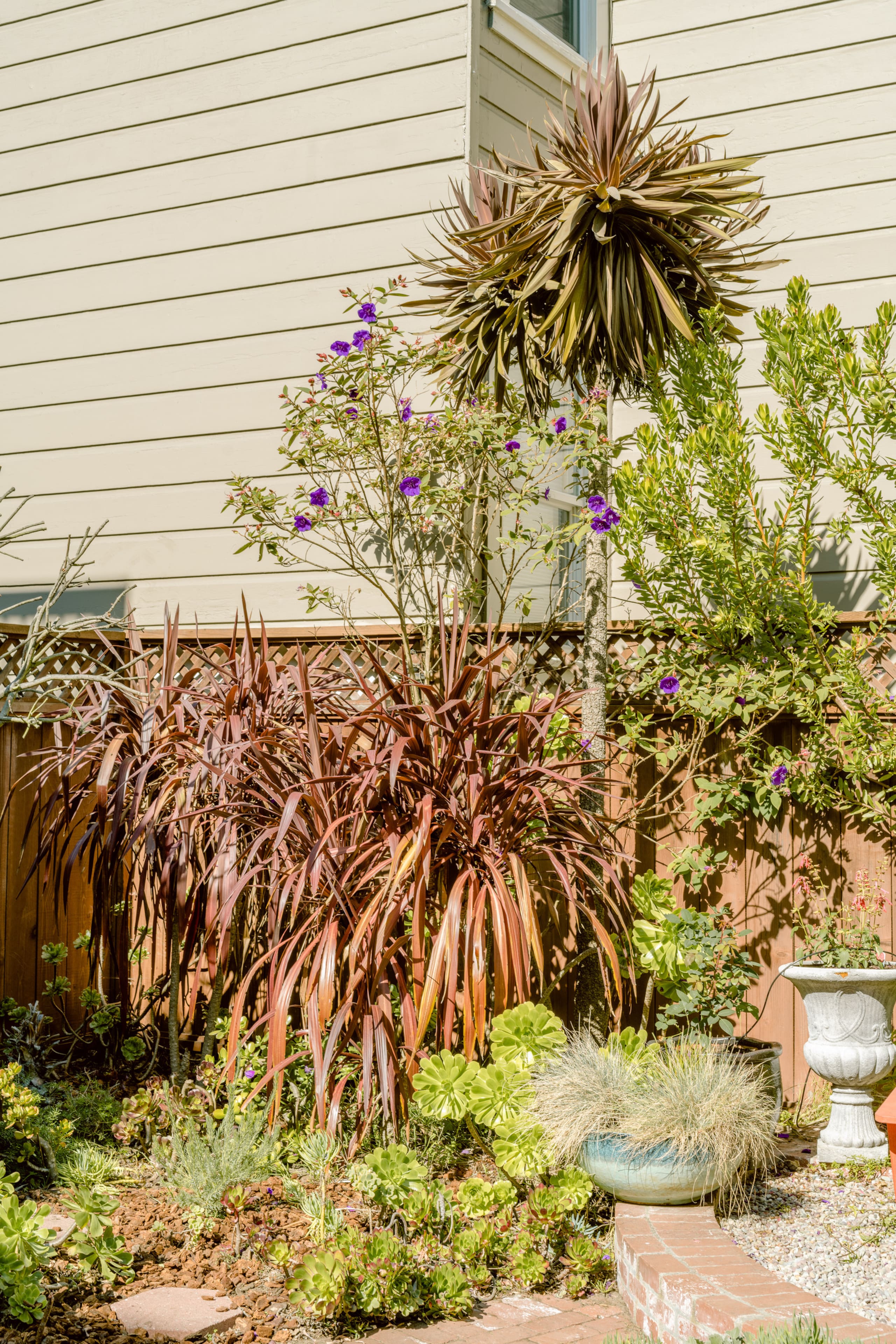 Condo in San Francisco · ★4.87 · 1 bedroom · 2 beds · 1 bath - Image 28