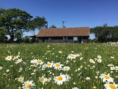 Rustic+Cottage+in+a+Wild+Flower+Meadow