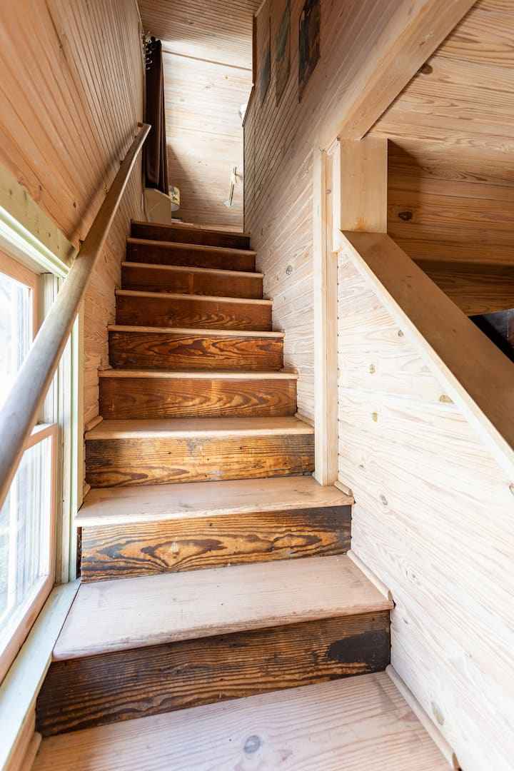 Mid-century Modern East Nashville Craftsman In Five Points - Nashville, TN