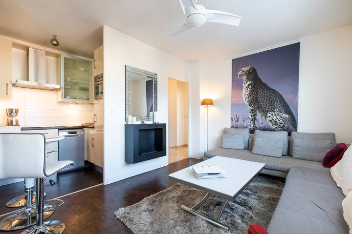 "Perle Rare" - Centre ville Bonlieu - classé 3***