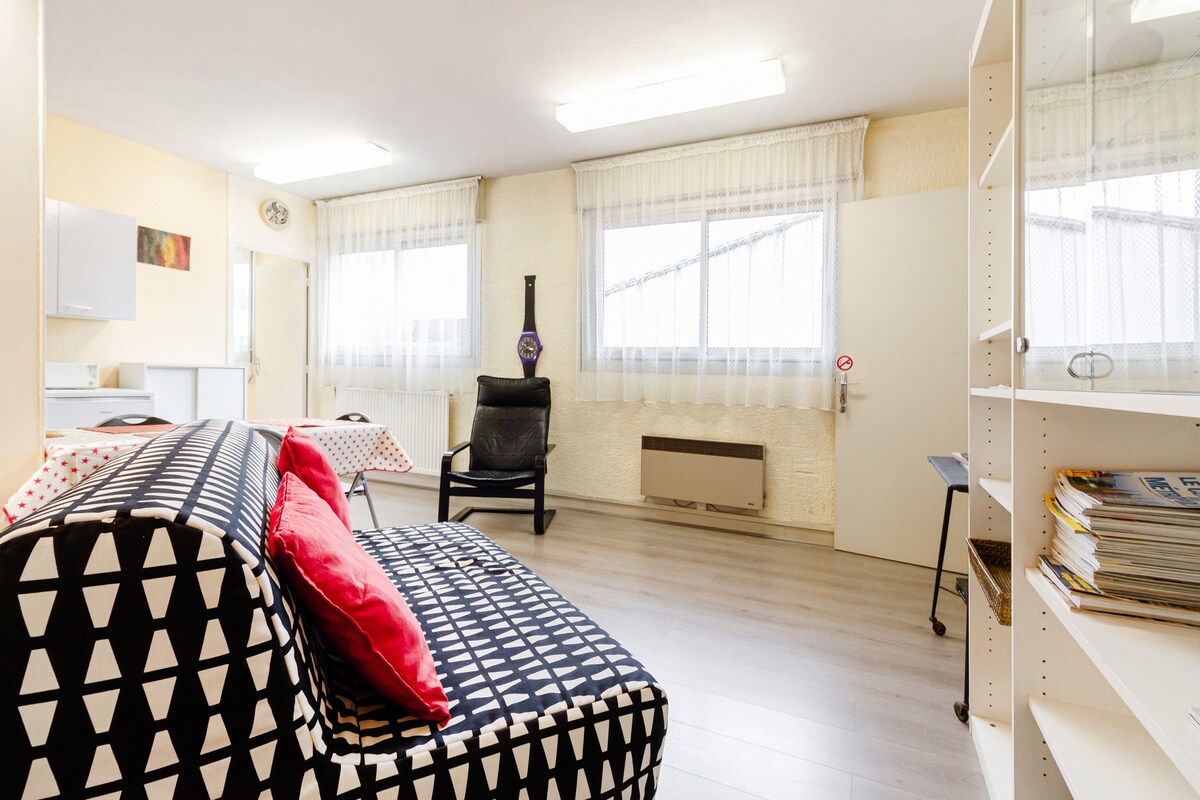 Successful Airbnb property: Well located apartment (tourism or professional) in Rangueil / Sauzelong / Jules Julien / Pech David / Pouvourville