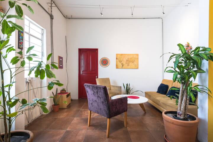 Casa Cardón, frente a la Roma. Singular y moderna.