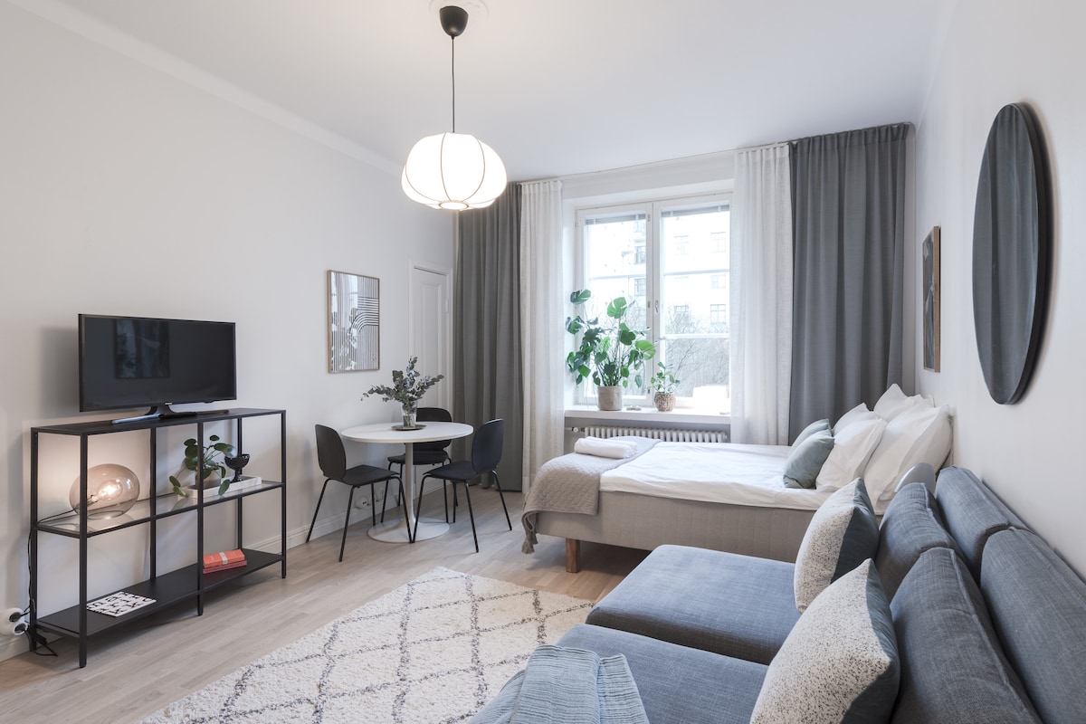 A well-lit studio space features two large windows allowing natural light, complemented by light-colored walls. A cozy sofa sits beside a convertible bed, with a minimalist dining area for four nearby. A stylish TV unit is positioned against one wall, enhancing the modern aesthetic.
