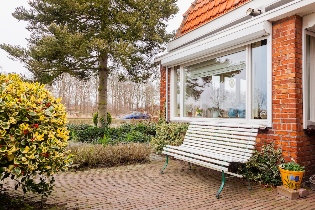 A quaint outdoor seating area features a white bench set beneath a large tree, surrounded by well-maintained shrubs and flowering plants. A brick pathway leads to a large window, allowing natural light to enter the space. A decorative pot adds a touch of color beside the bench.