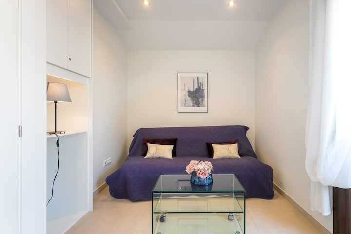 סלון או ספה נפתחת /חדר רחצה / מטבחון