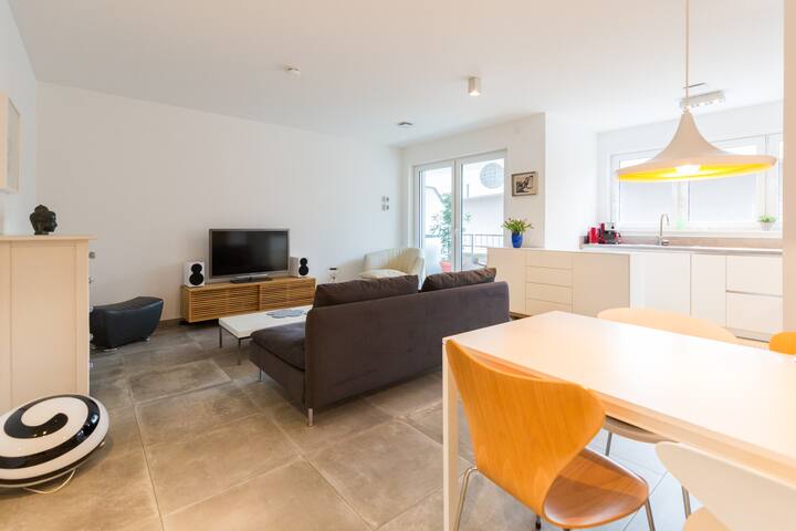 Zentrale Neubau Wohnung Nur 50 M Vom Rheinufer Wohnungen Zur Miete In Bonn Nordrhein Westfalen Deutschland