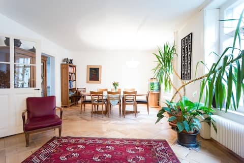 Spacious historic renovated home-Walk to Old Town!