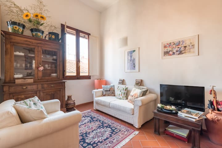 Een Romantisch Oud Florence-uitzicht
