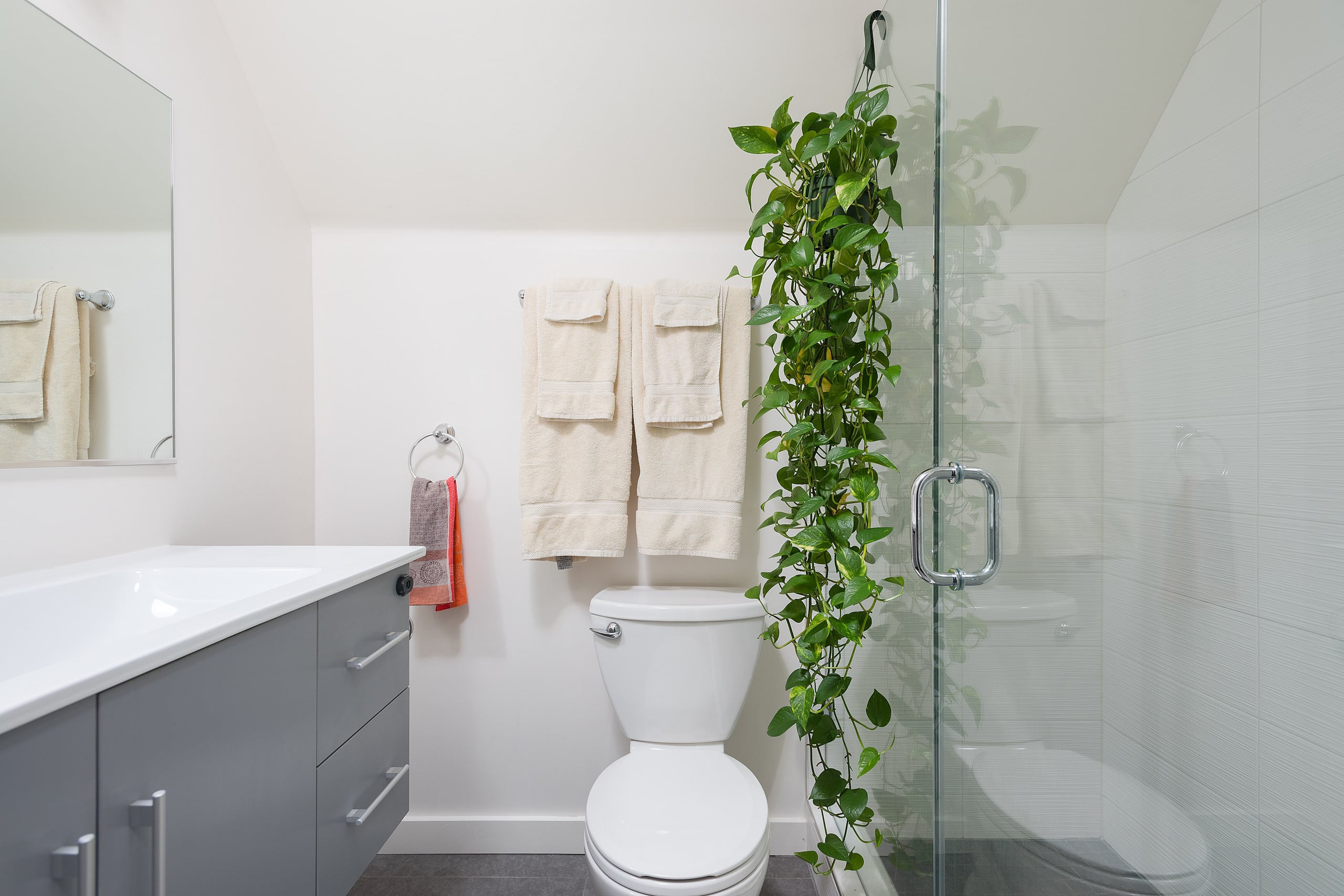 Home in San Francisco · ★4.74 · 3 bedrooms · 3 beds · 2.5 baths - Image 16