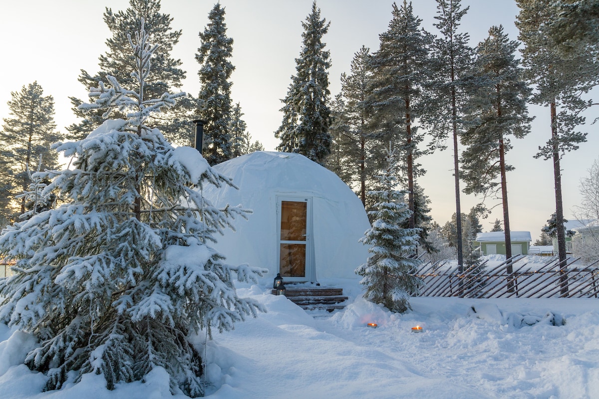 The igloo sits amidst a snowy landscape, surrounded by tall pine trees. A wooden pathway leads to the entrance, illuminated by soft lights. Snow blankets the ground, creating a serene winter setting that enhances the secluded atmosphere.