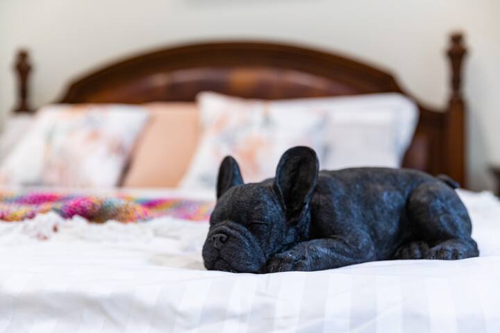 Luxury Family Home in Camberwell with pool gallery image 3