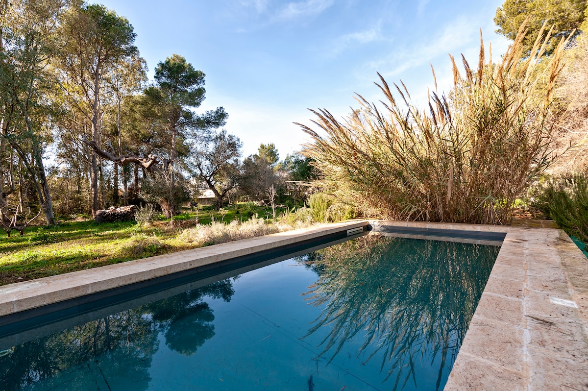 The image captures a tranquil pool framed by lush greenery and tall plants. Surrounding the pool, a rustic stone edge contrasts with the serene water, reflecting the natural landscape under a clear blue sky. Sunlight filters through the trees, enhancing the peaceful ambiance.