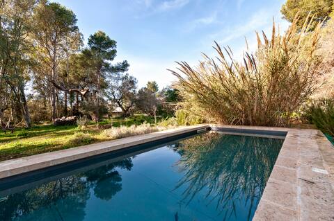Magic of Salento in the woods with pool and tennis