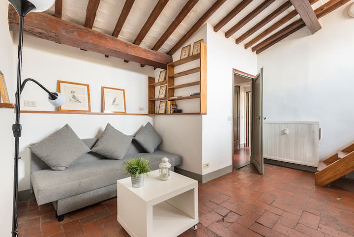 Vigna Vecchia Apartment - Florence