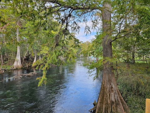 The Tipsy Turtle located on Ichetucknee River!