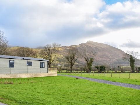 Dodd - uk42499