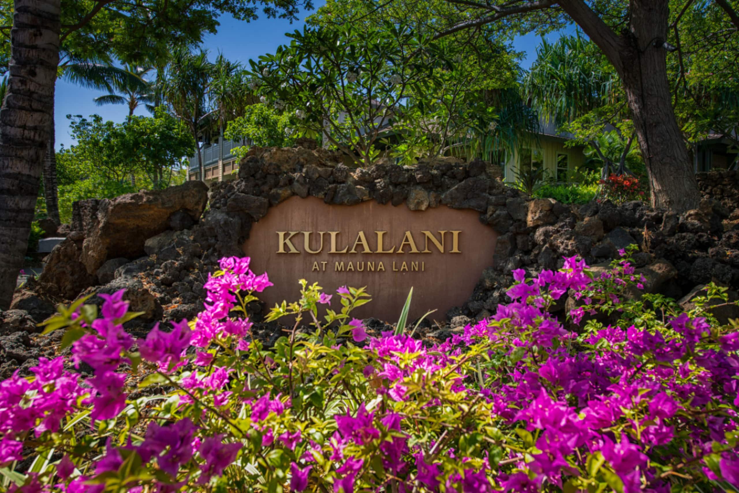 Condo in Puako · ★4.97 · 2 bedrooms · 4 beds · 2.5 baths - Photo 33