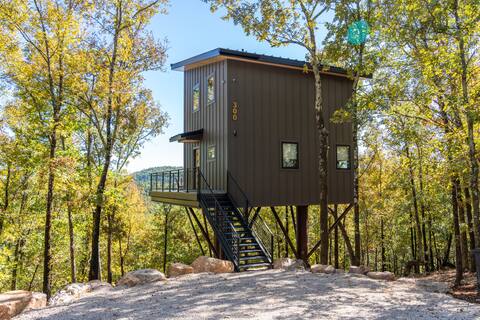 The Grasshopper - Treehouse at In the Trees
