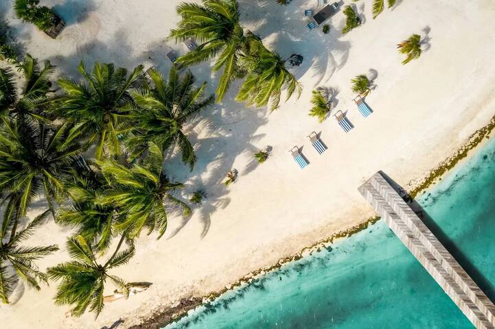 Book and Save Oceanfront Private Estate by ALOM gallery image 5