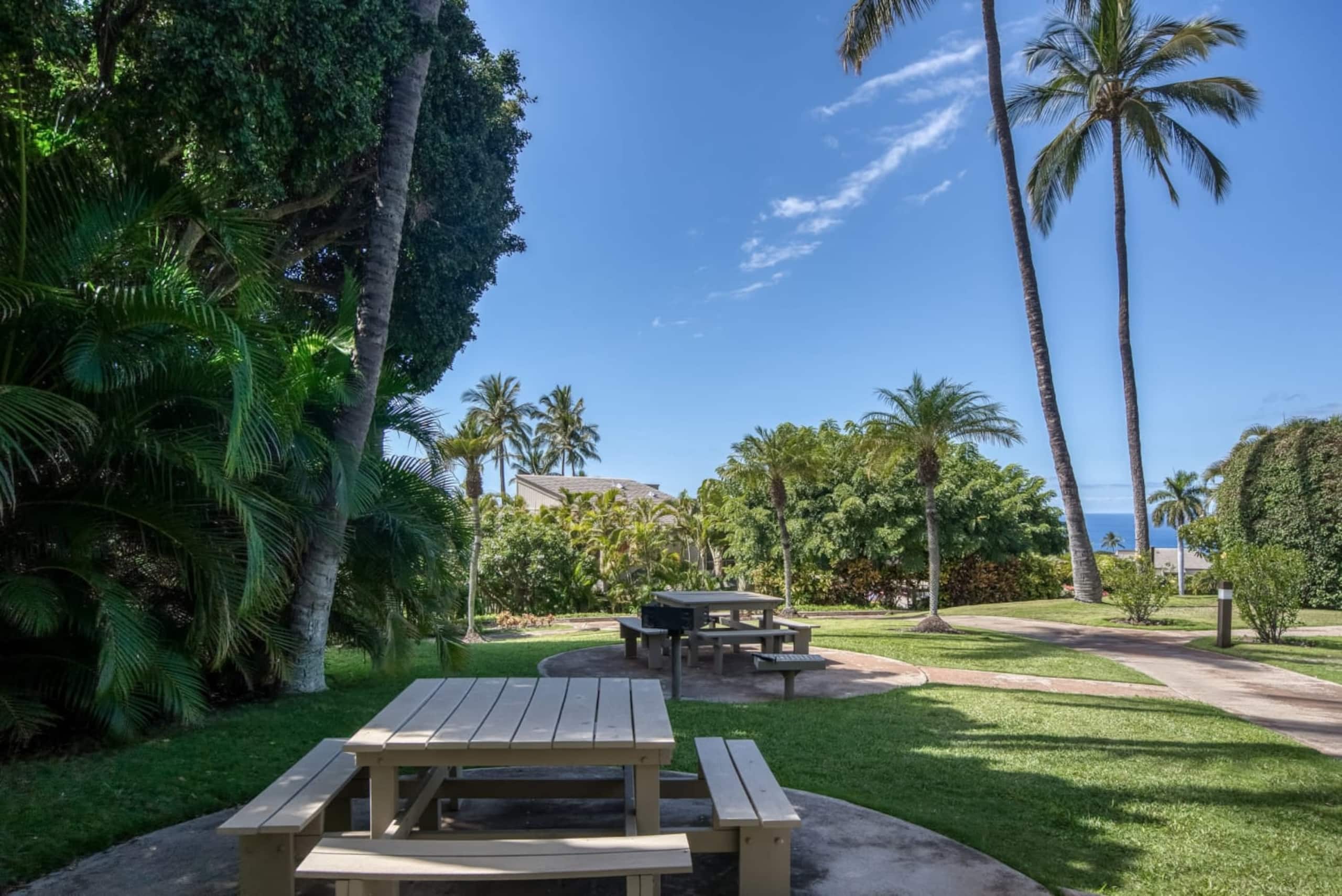 Wailea Luxury Resort Vista - Image 41