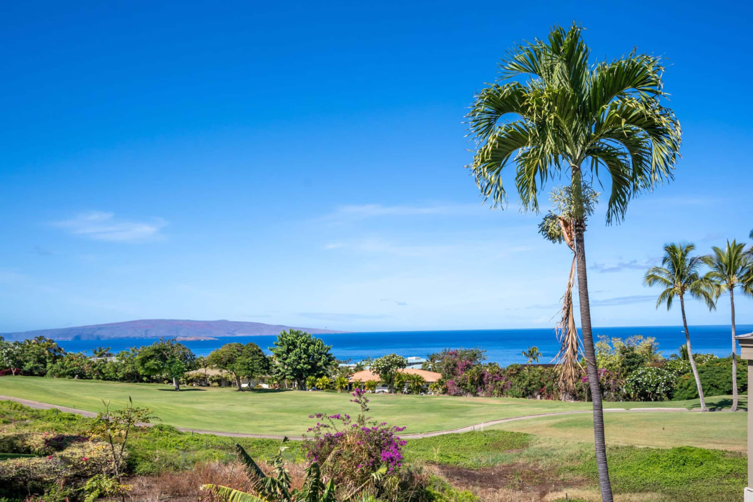 Wailea Luxury Resort Vista - Image 39
