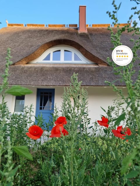 Haus 20 "Reetsnacker" Ferienhaus m. Sauna and Kamin.