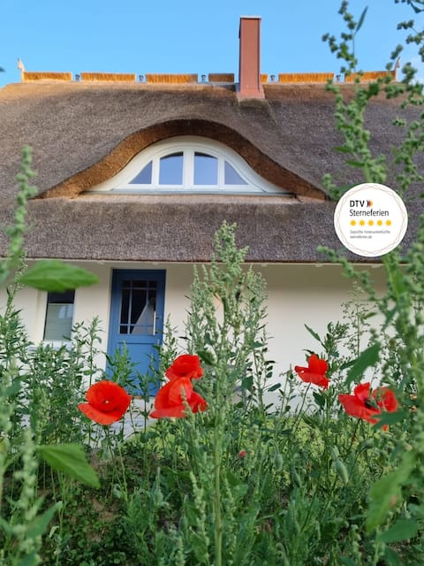 Haus 20 "Reetsnacker" Holiday home with sauna and fireplace