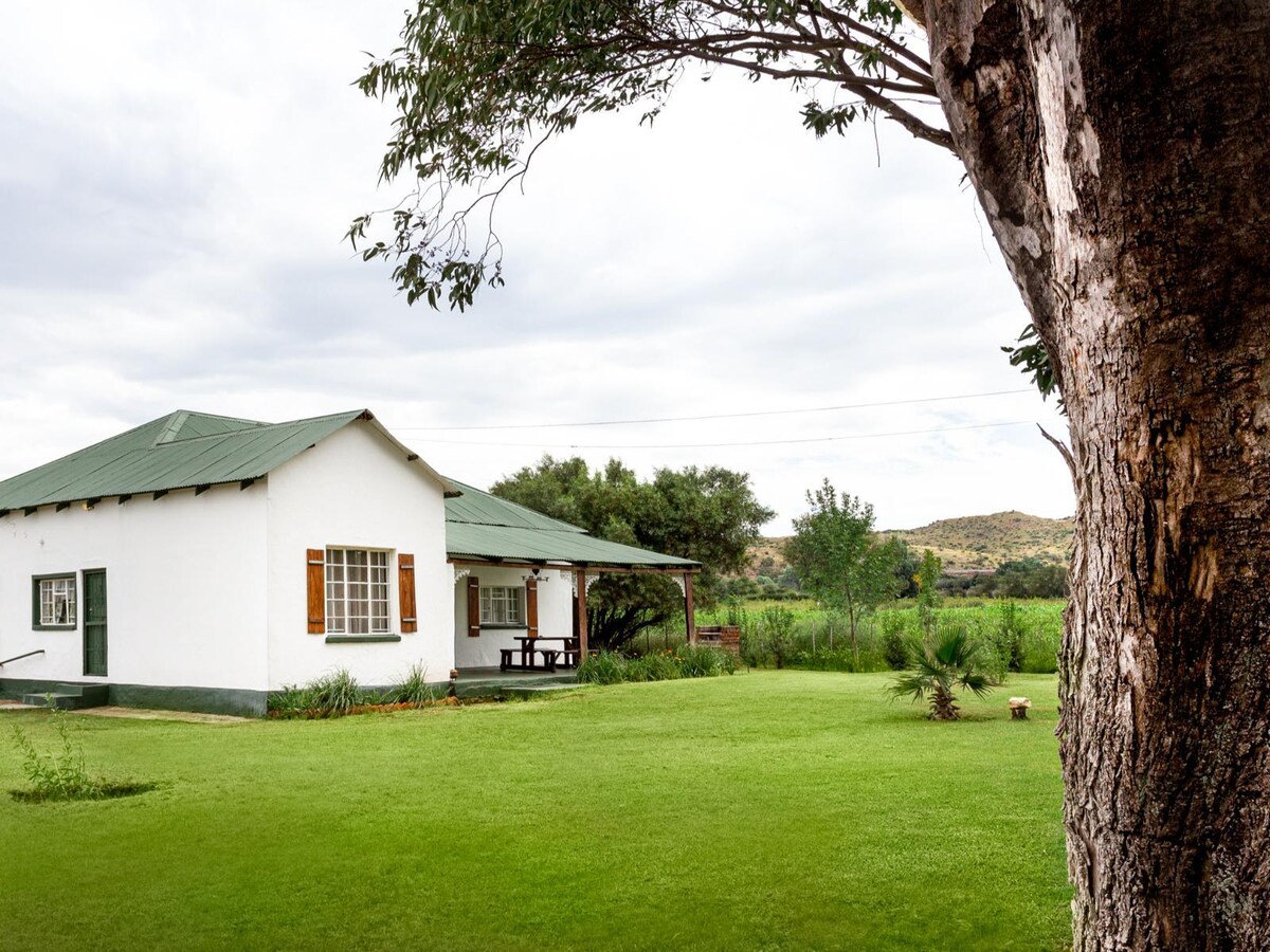 A charming farmhouse with a green metal roof is surrounded by a spacious lawn. The exterior features white walls and wooden shutters framing the windows. A large tree provides shade, and a patio area is visible with outdoor seating, inviting relaxation in a natural setting.