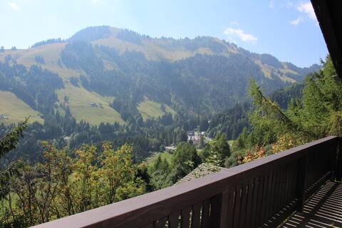 Beautiful 5-room chalet "Chalet Antoine"