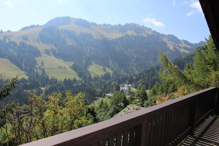 Beautiful 5-room chalet "Chalet Antoine"