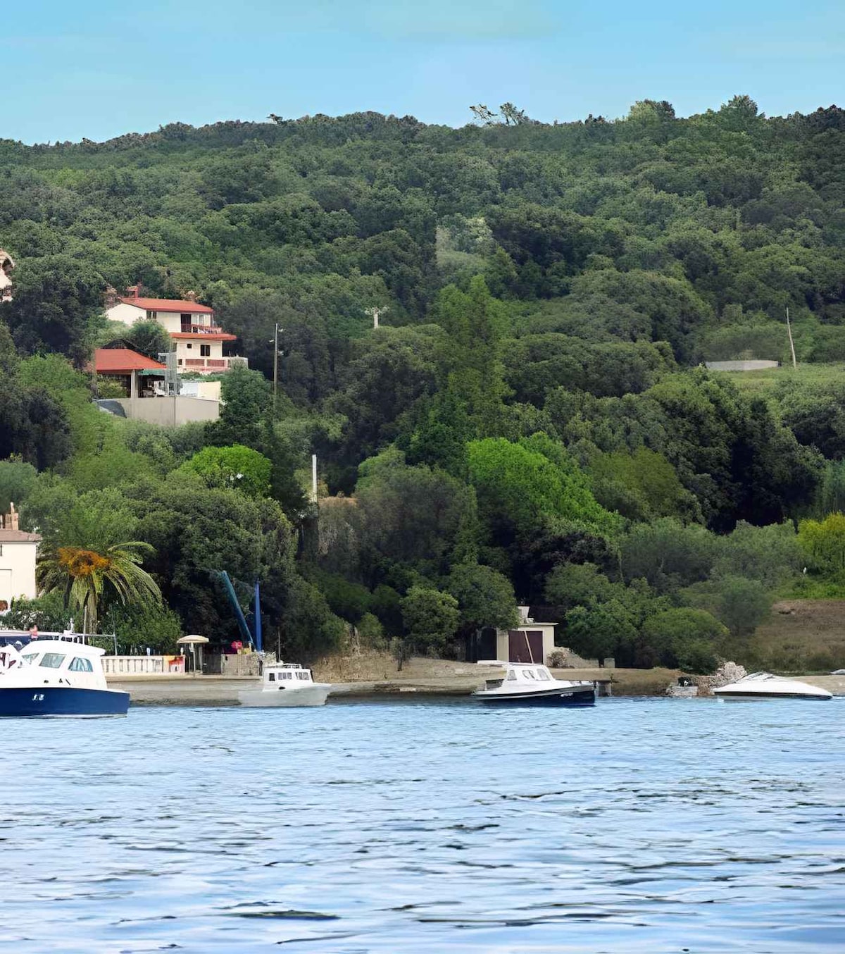 The image showcases a serene coastal scene with several boats gently floating on calm waters. The backdrop features lush greenery and residential buildings nestled on a hillside, creating a peaceful atmosphere. The landscape is complemented by trees and plants, enhancing the natural setting.