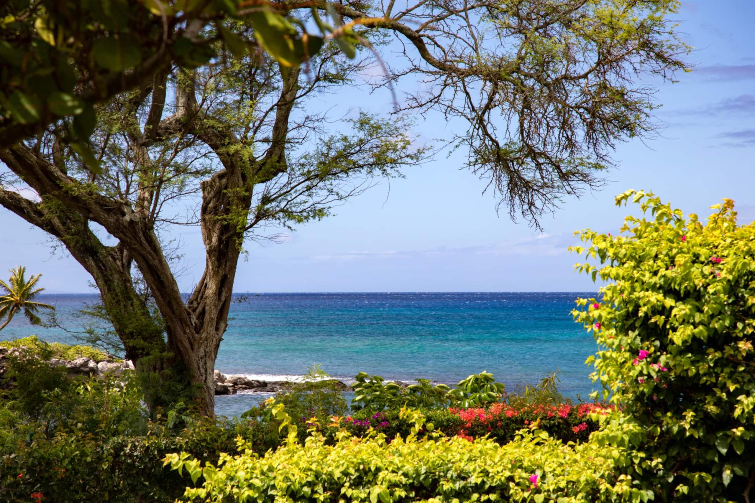 Condo in Lahaina · ★5.0 · 1 bedroom · 2 beds · 1 bath - Image 32