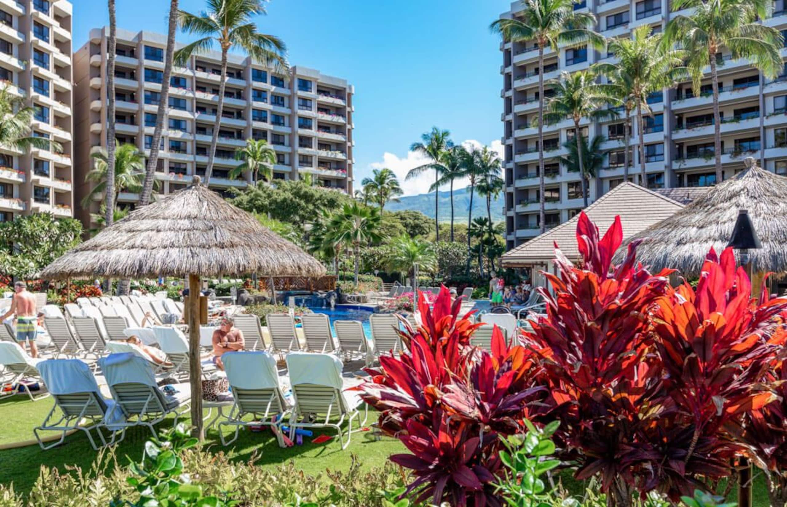 Condo in Lahaina · ★5.0 · 2 bedrooms · 2 beds · 2 baths - Image 35