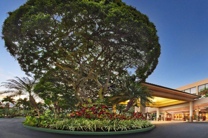 Luxurious Condo, Ocean View, Refreshing Pools