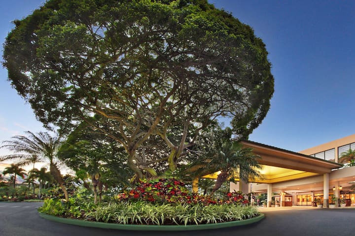 Luxurious Condo, On The Beach, Refreshing Pools