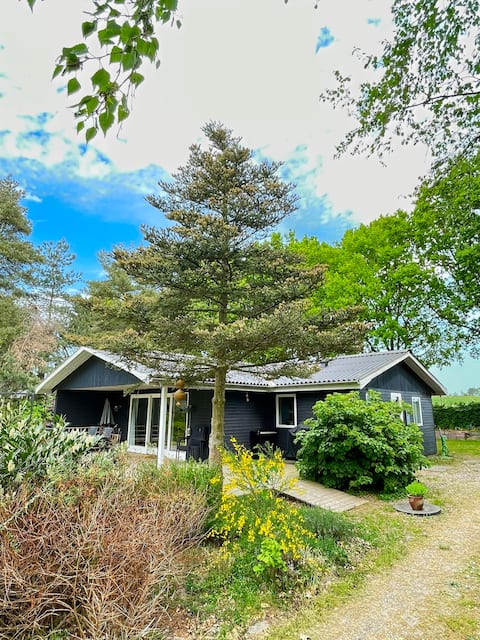 Super cozy and child-friendly house close to the.