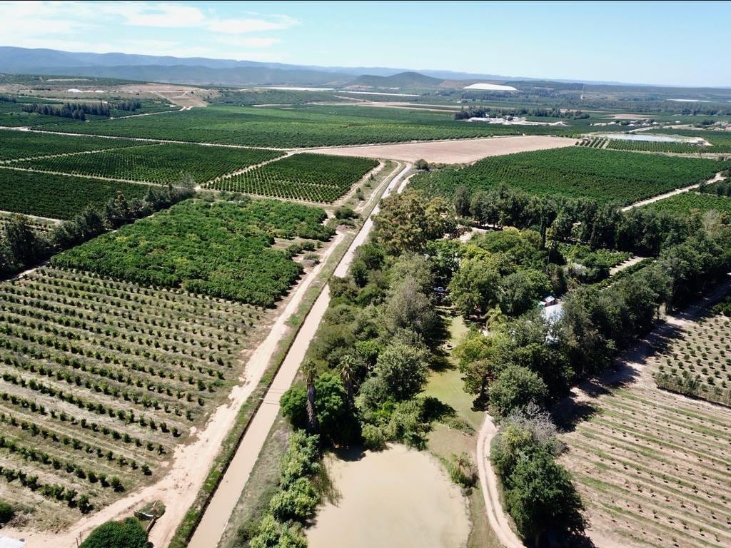 Aerial view reveals expansive fields of lush greenery, with neatly arranged rows of trees. A meandering pathway is visible along a winding waterway, surrounded by rich vegetation and patches of open land.