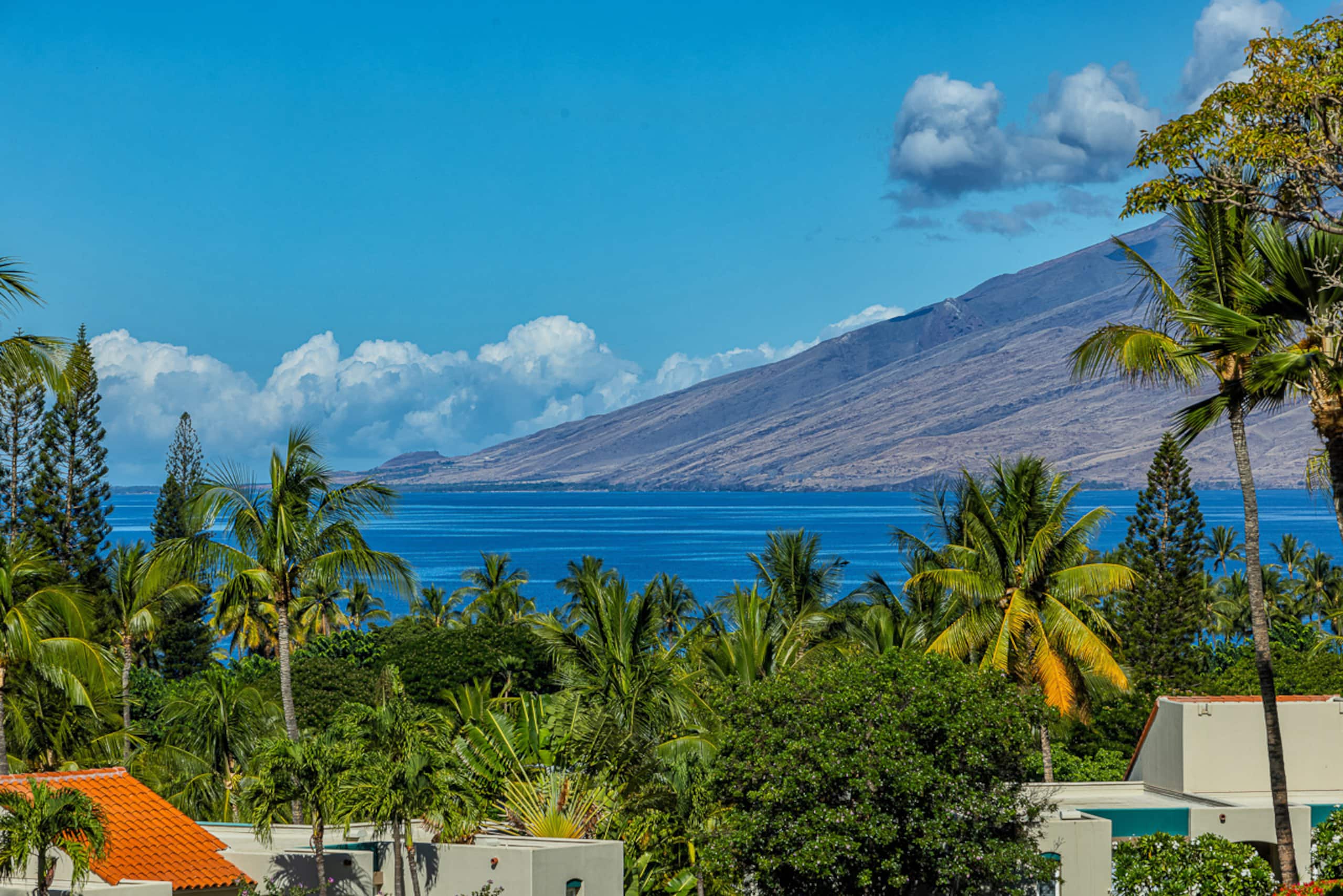 Condo in Wailea · ★5.0 · 1 bedroom · 2 beds · 2 baths - Image 62