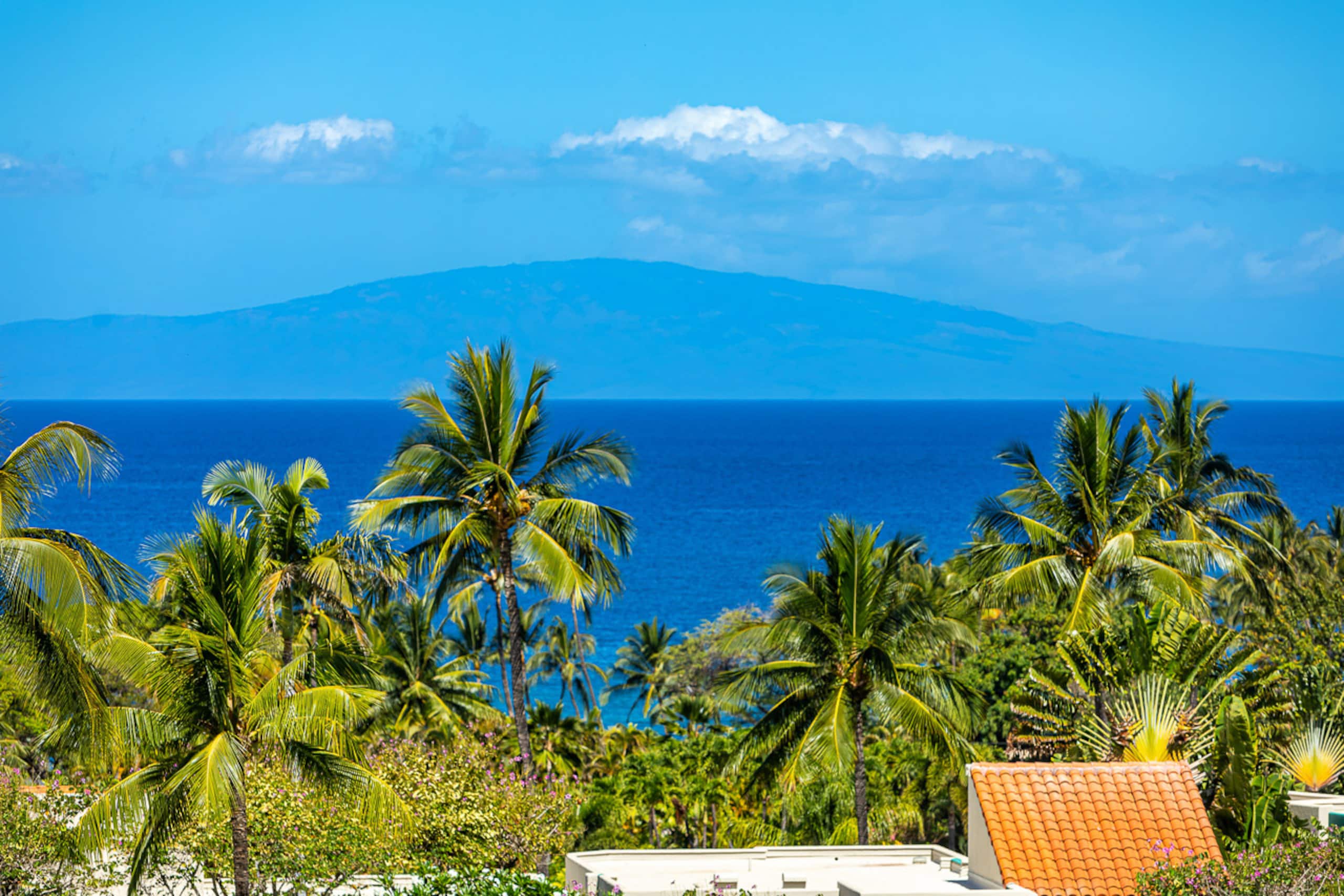 Condo in Wailea · ★5.0 · 1 bedroom · 2 beds · 2 baths - Image 45